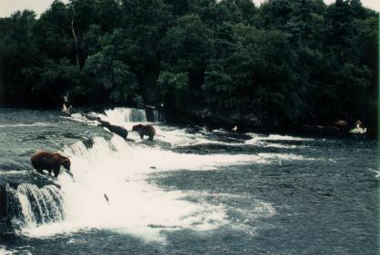 Brooks Falls